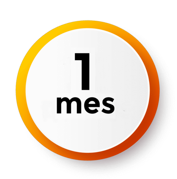Service 1 Mois